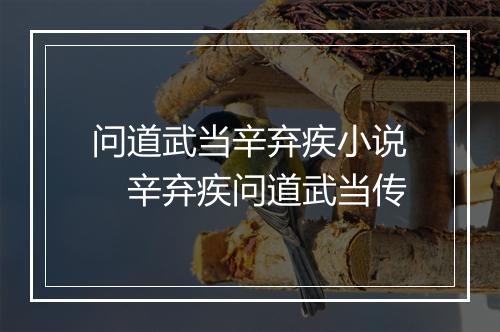 问道武当辛弃疾小说　辛弃疾问道武当传