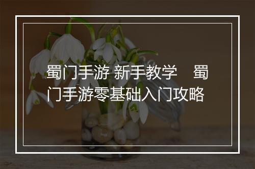 蜀门手游 新手教学　蜀门手游零基础入门攻略